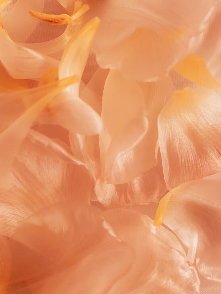 Pantone Color of The Year 2024 Peach Fuzz