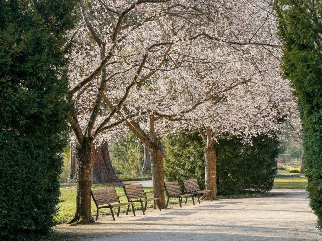 wedding venue walkway opt